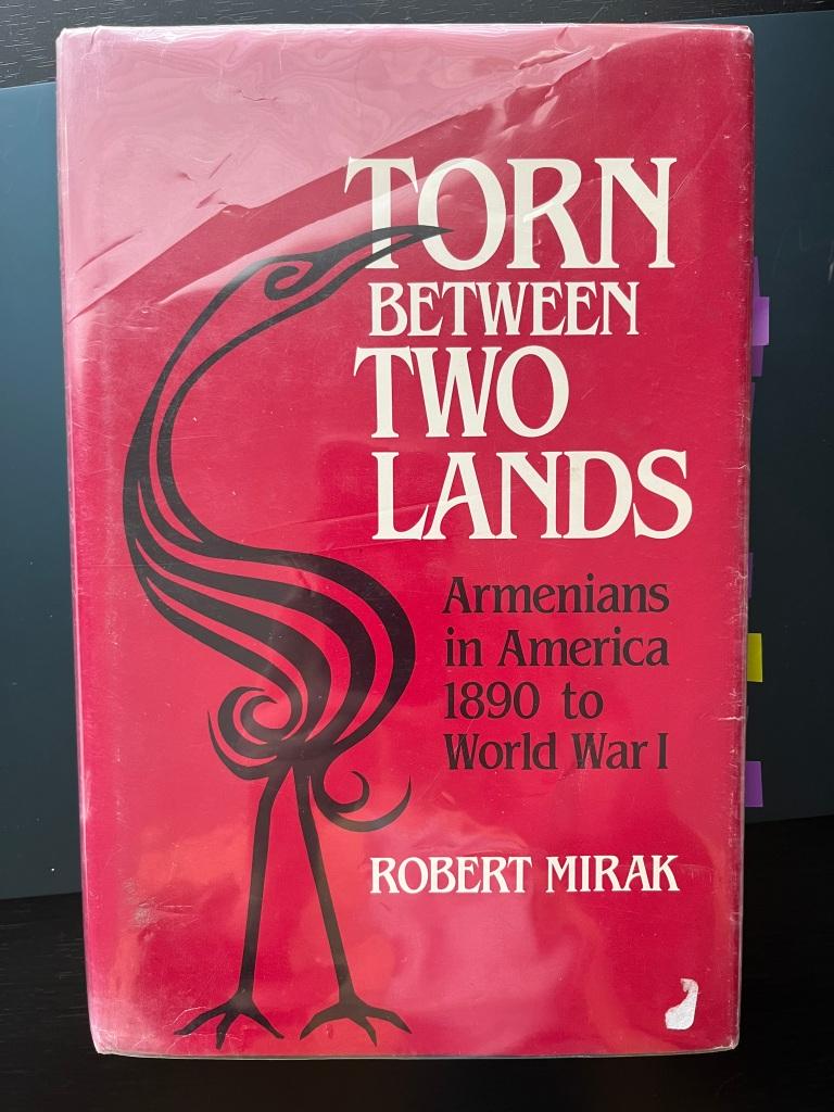 A book cover with the title torn between two lands.