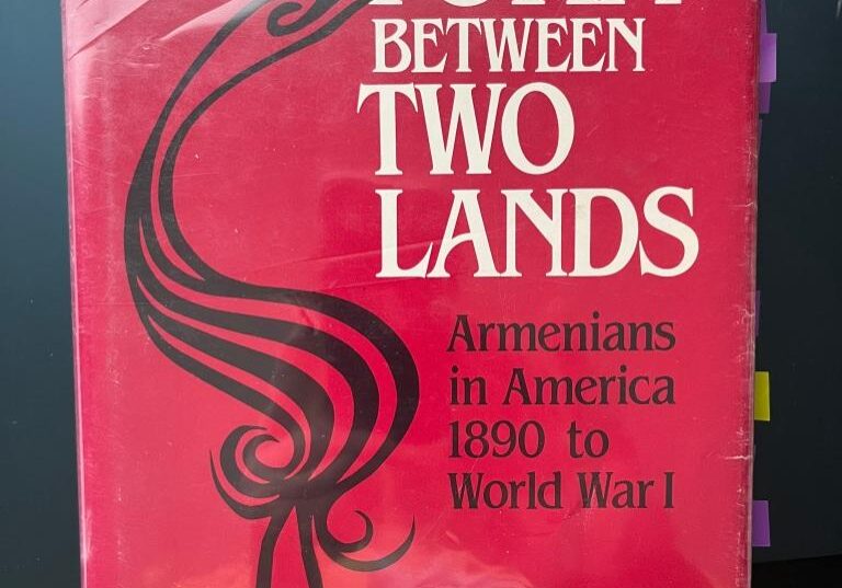 A book cover with the title torn between two lands.